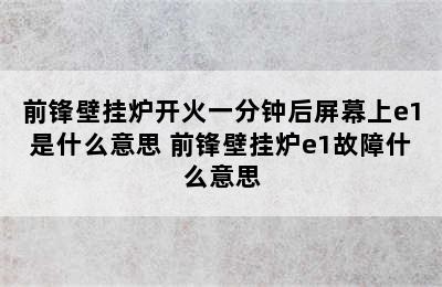 前锋壁挂炉开火一分钟后屏幕上e1是什么意思 前锋壁挂炉e1故障什么意思